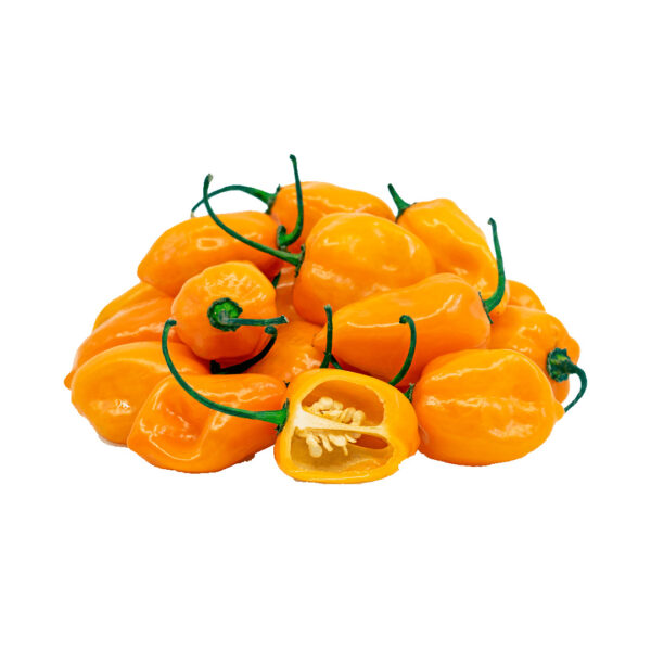 Cameroon Pepper 100g